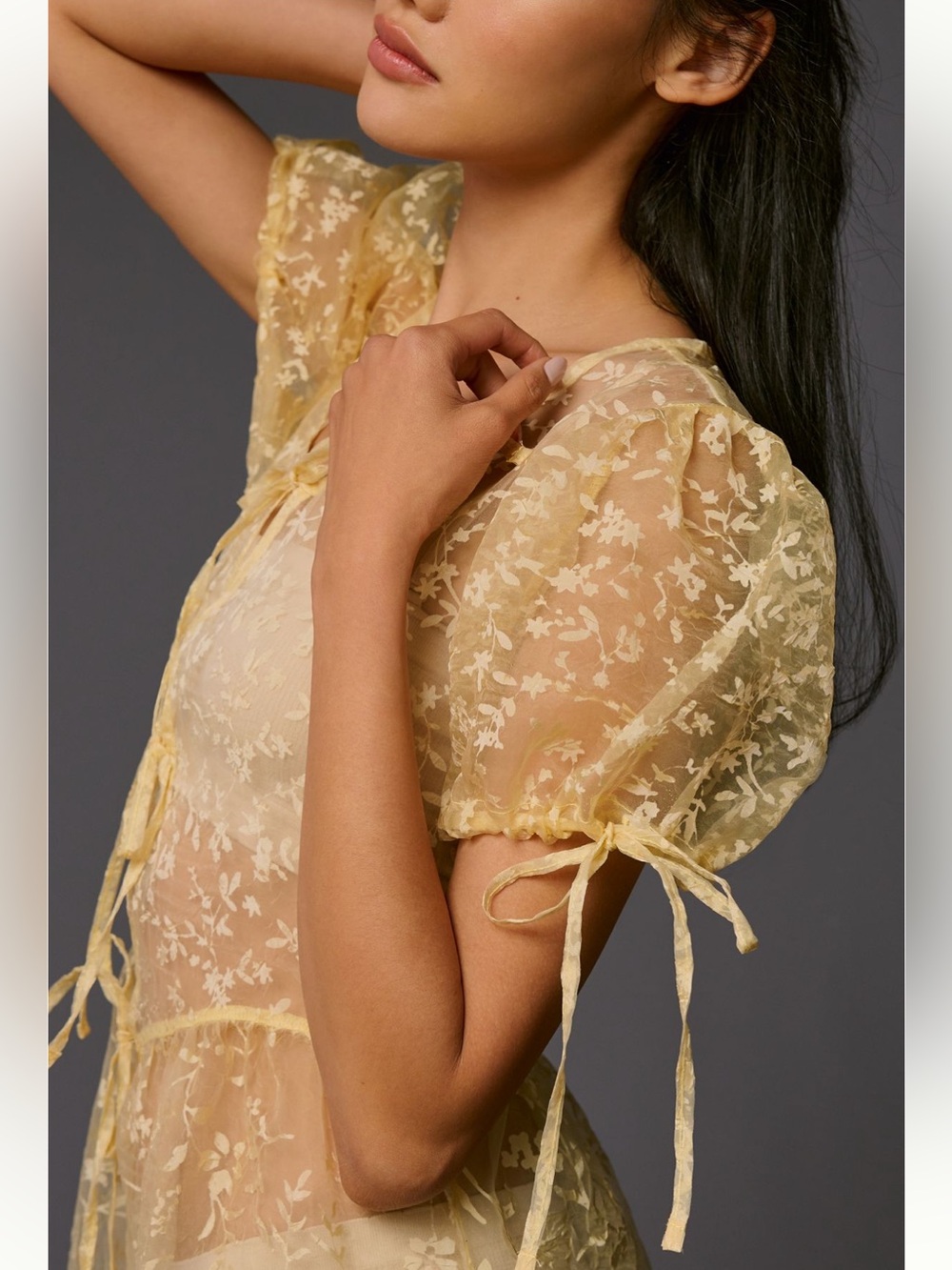 NWT Anthropologie Sheer Floral Organza Maxi Dress - Picture 3 of 7